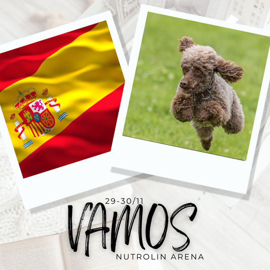 Agility - VAMOS!, Nutrolin arena Kävlinge