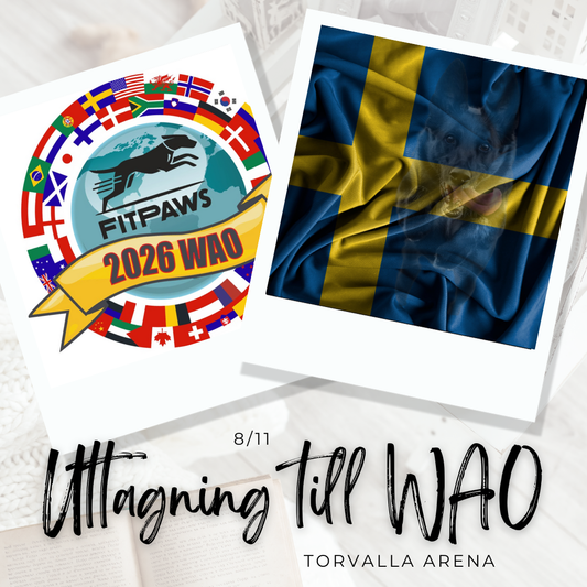 Agility- Uttagning för WAO, Torvalla arena