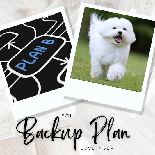 Agility- Backup Plan, Lövdinger Herrljunga